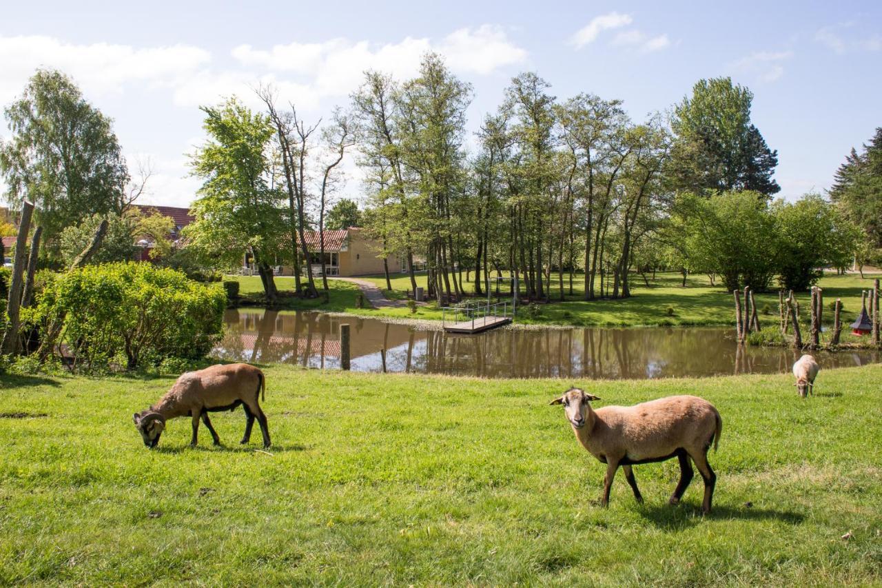 Fjelsted Skov Hotel & Konference Ejby  Exterior photo